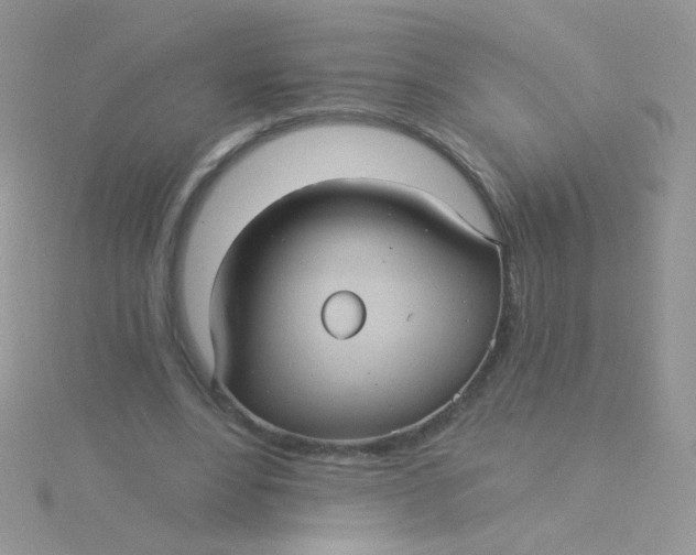 X0000115320488200911231354