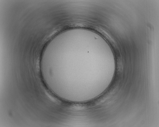 X0000115320489200911231354