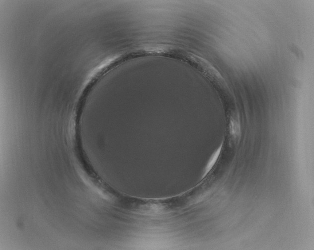 X0000115320492200911231354