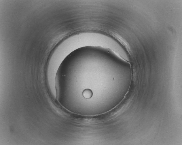 X0000115320493200911231354