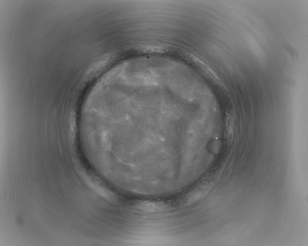 X0000115320494200911231354