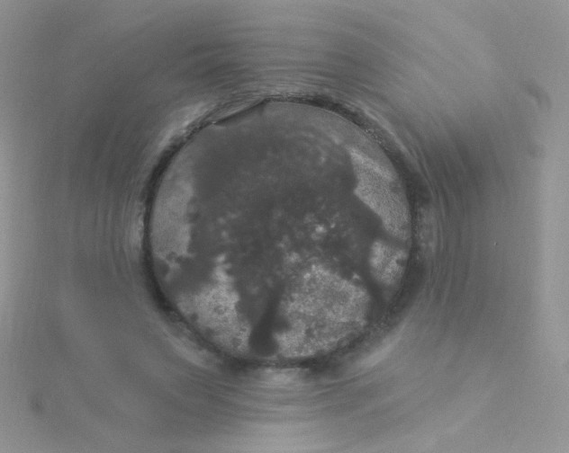 X0000115320495200911231353