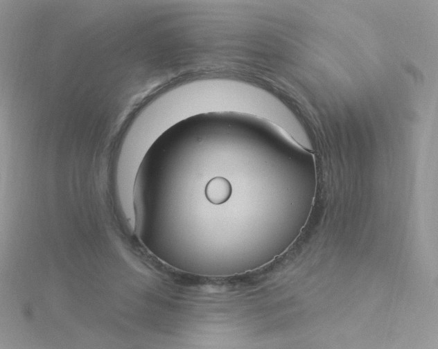 X0000115320496200911231353