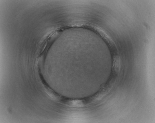 X0000115320501200911231353