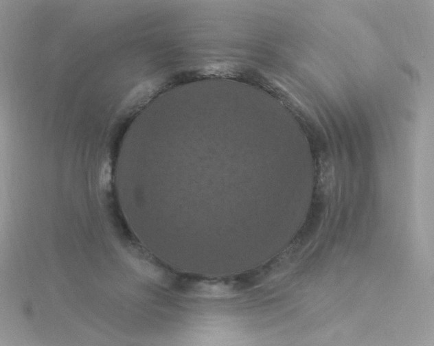 X0000115320502200911231353