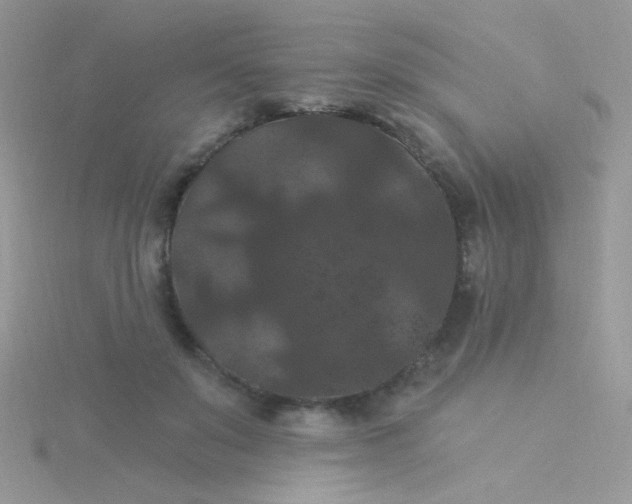 X0000115320503200911231353