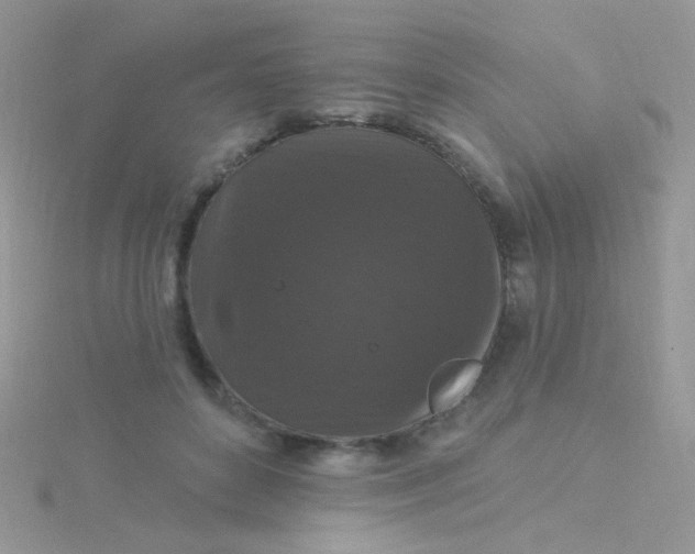 X0000115320504200911231353