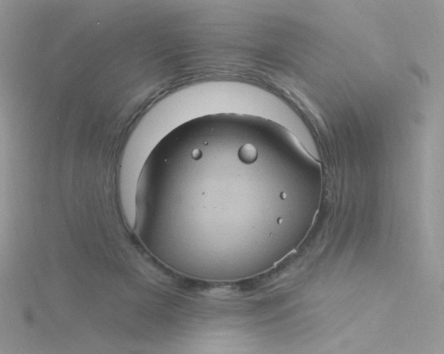 X0000115320505200911231353