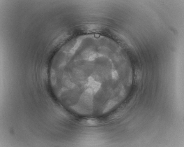 X0000115320506200911231353