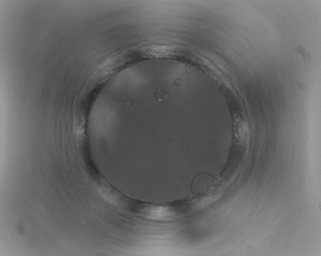 X0000115320507200911231353