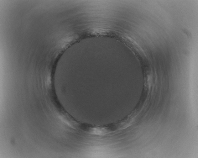 X0000115320508200911231353