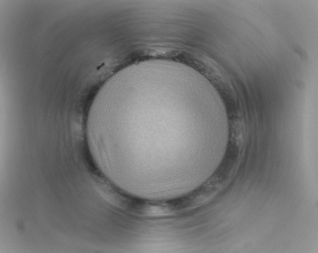 X0000115320510200911231353