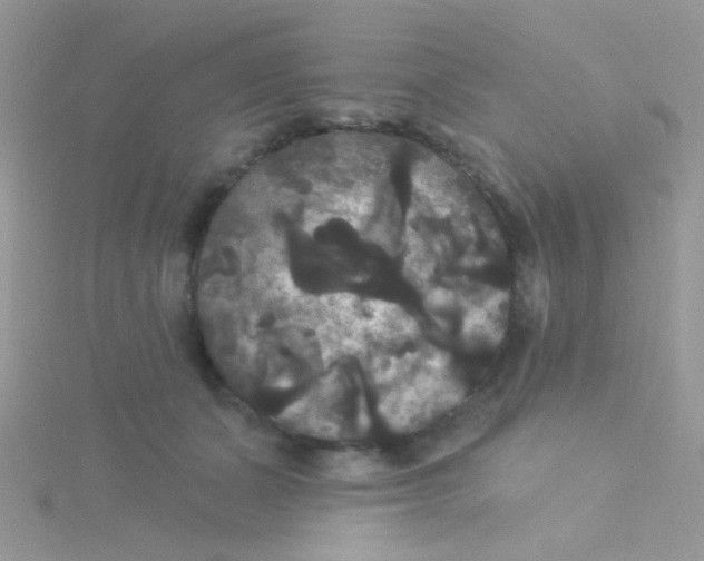 X0000115320511200911231353