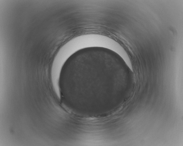 X0000115320512200911231353