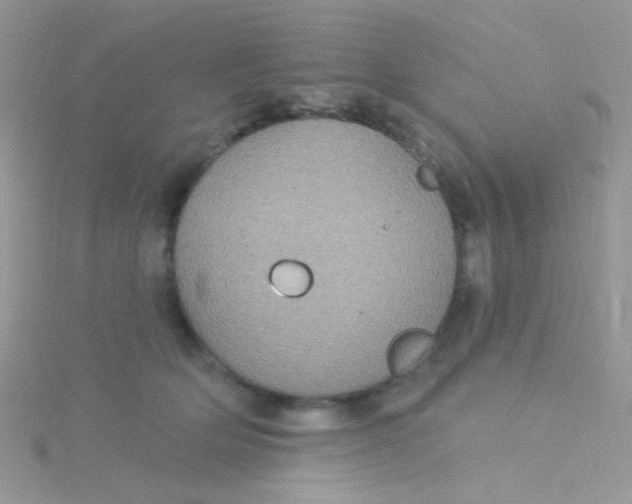 X0000115320514200911231353