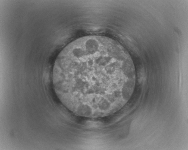 X0000115320515200911231353