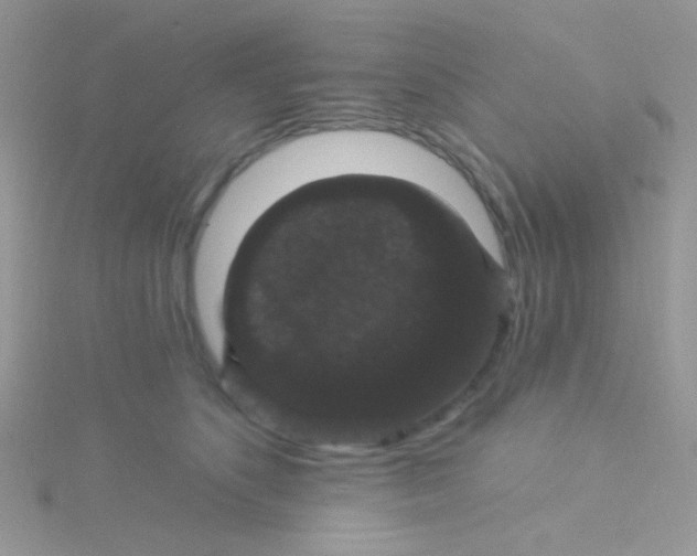 X0000115320516200911231353