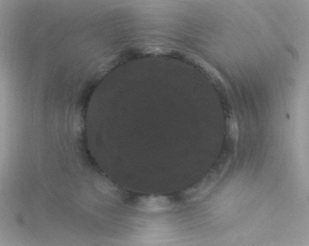 X0000115320517200911231353