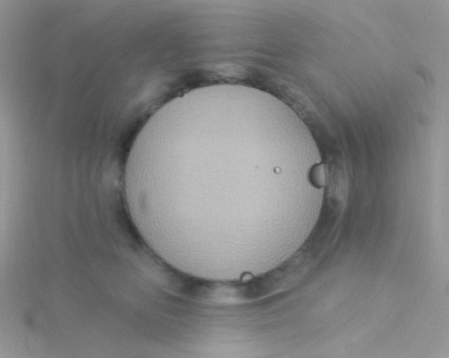 X0000115320518200911231353