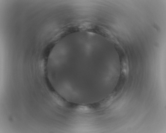 X0000115320519200911231353