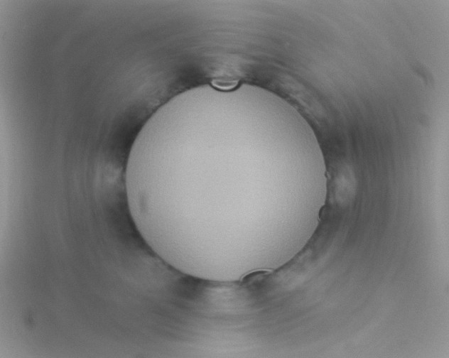 X0000115320521200911231353