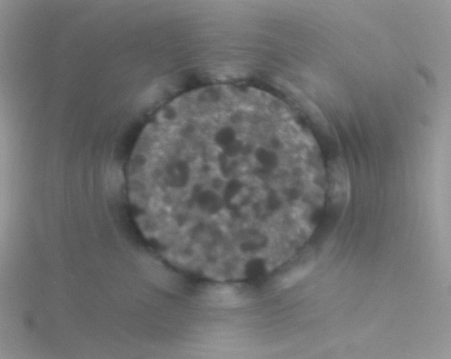 X0000115320523200911231353