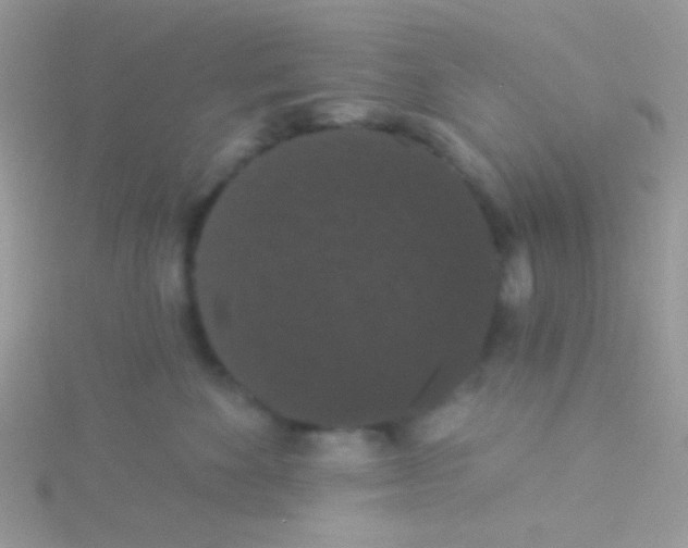 X0000115320524200911231353