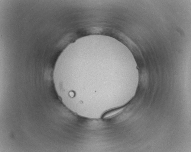 X0000115320525200911231353