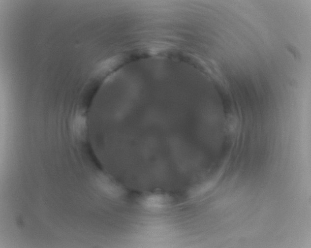 X0000115320527200911231353