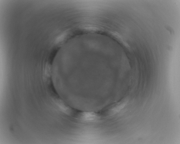 X0000115320528200911231353