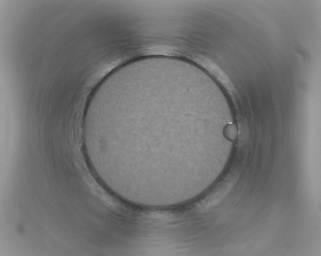 X0000115320529200911231352