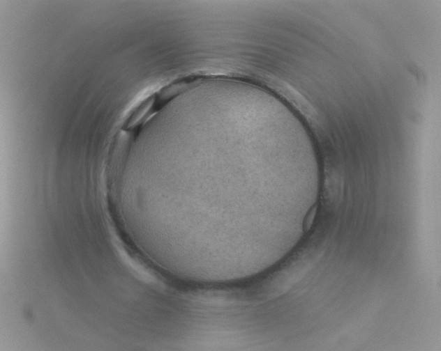 X0000115320530200911231352