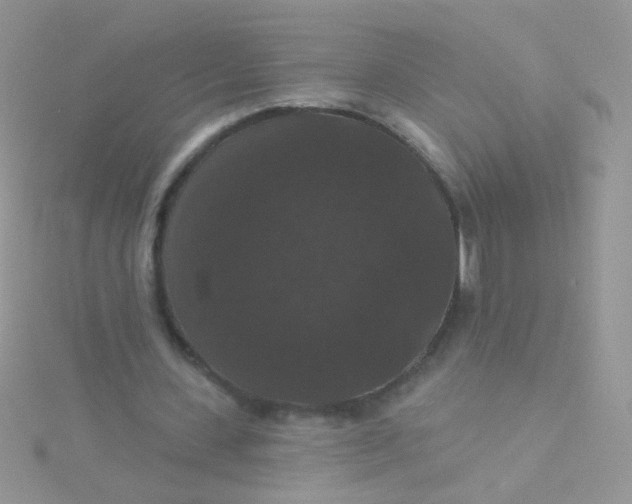 X0000115320531200911231352