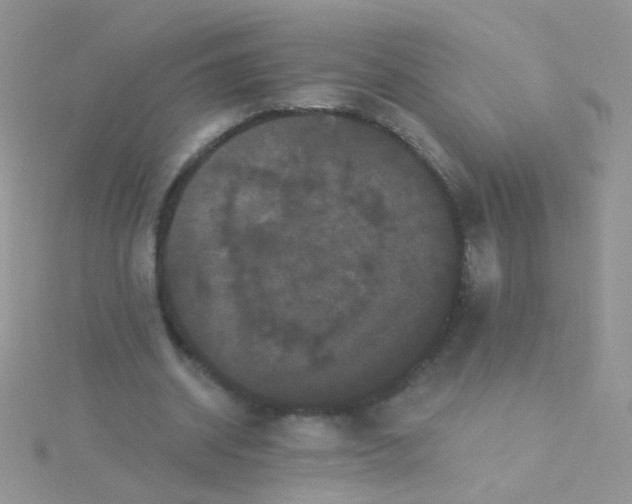 X0000115320534200911231352