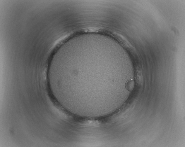 X0000115320543200911231352