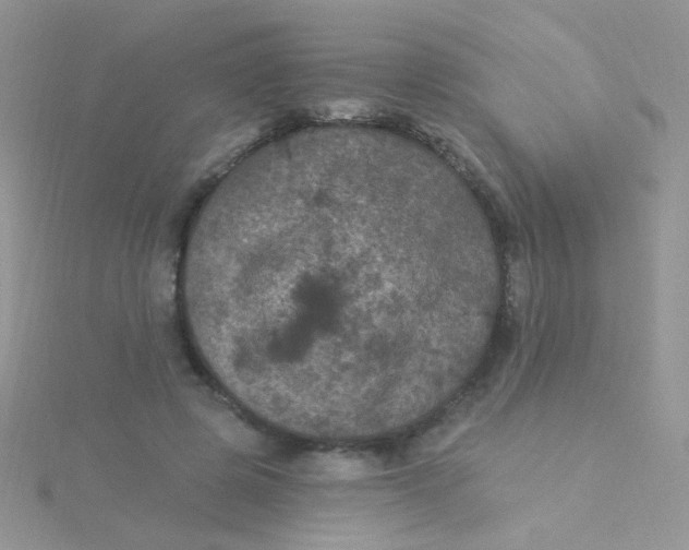 X0000115320545200911231352