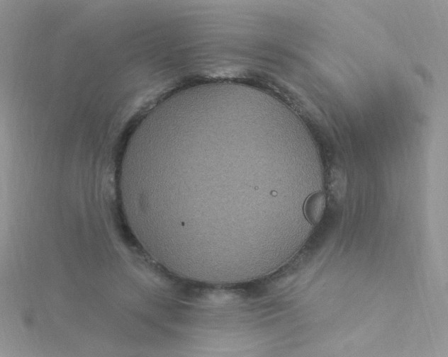 X0000115320547200911231353