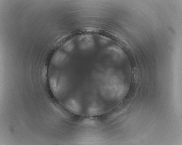 X0000115320550200911231353