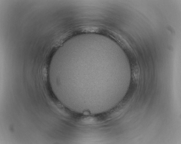 X0000115320551200911231353