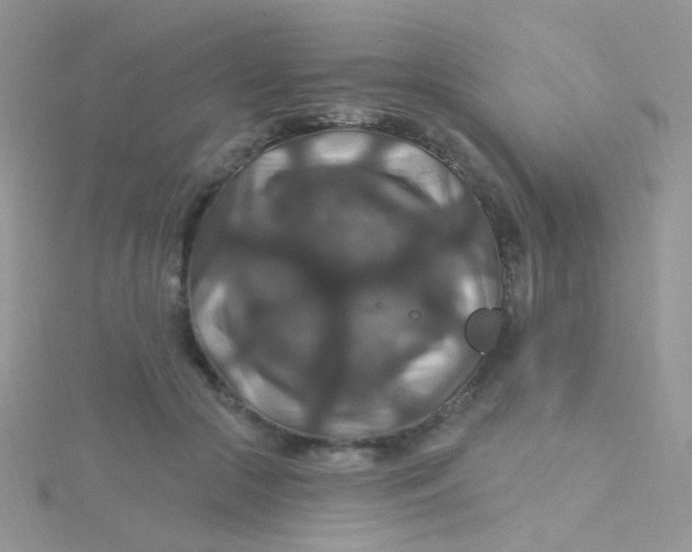 X0000115320553200911231353