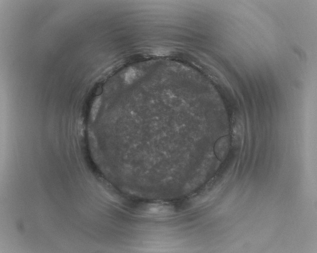 X0000115320555200911231353