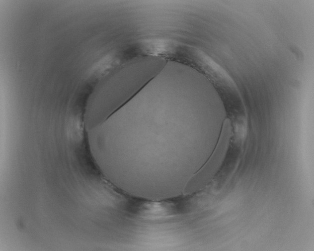 X0000115320558200911231353