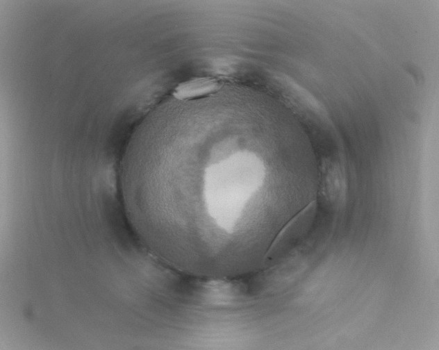 X0000115320562200911231353