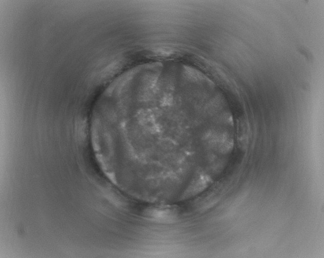 X0000115320563200911231353