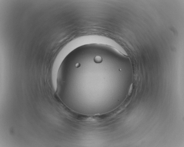 X0000115320566200911231353