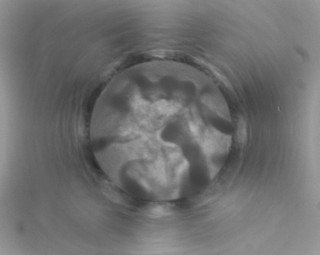 X0000115320569200911231353