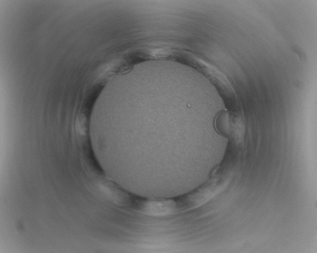 X0000115320571200911231353