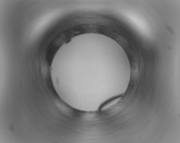 X0000115320574200911231353