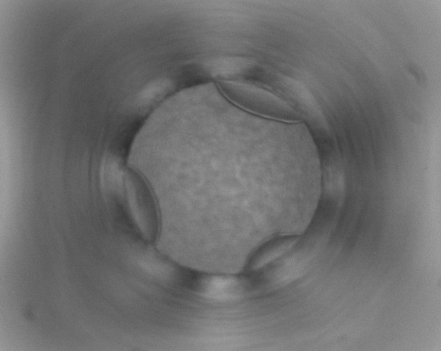 X0000115320575200911231353