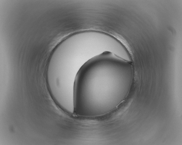 X0000115320577200911231352